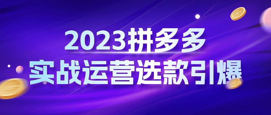 2023拼多多实战运营选款引爆-趣奇资源网-第3张图片 2023拼多多实战运营选款引爆-趣奇资源网-第3张图片