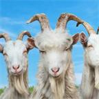 《重新连接:退出循环》v1.0.0中文版-趣奇资源网-第9张图片 《重新连接:退出循环》v1.0.0中文版-趣奇资源网-第9张图片